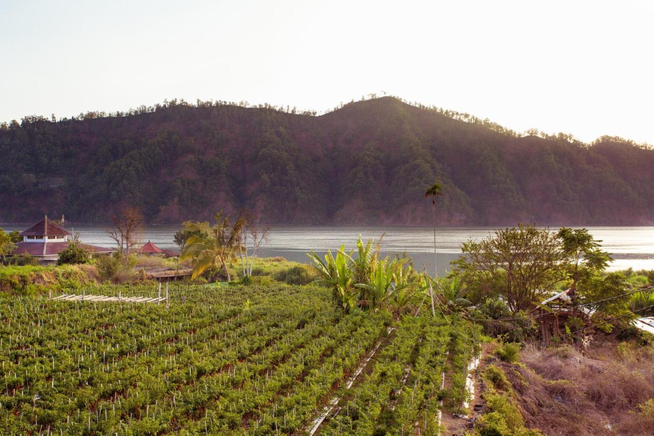 Villa Jempana Kintamani  Luaran gambar